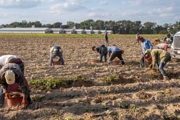 Inl agricoltura